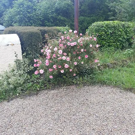 Katie's * Cashel (Tipperary)